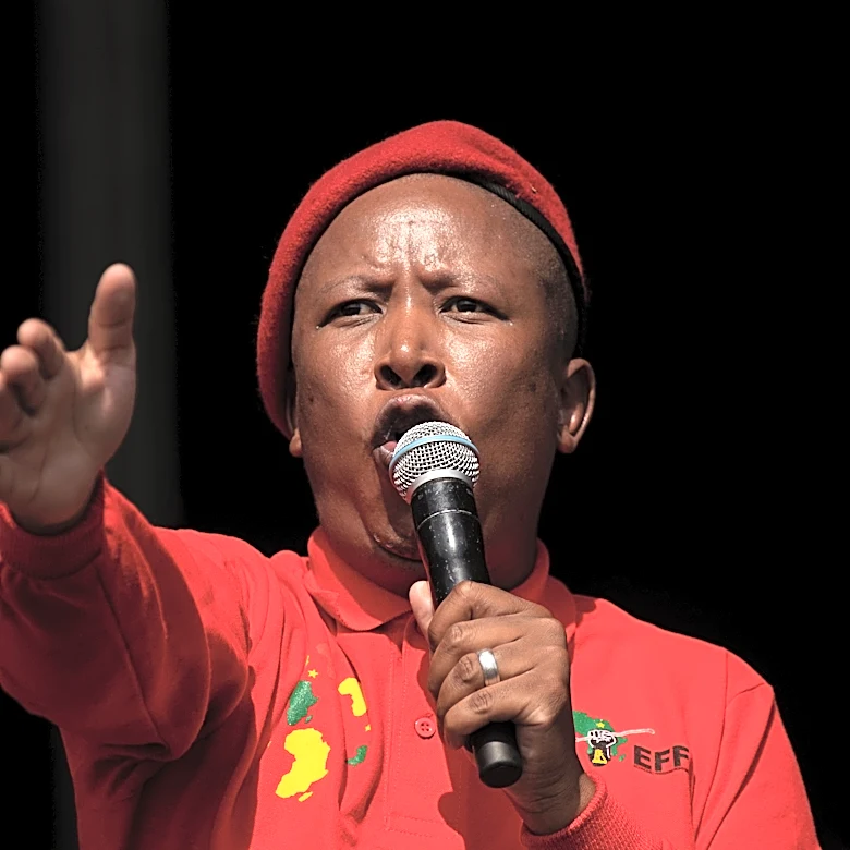 A look at the South African politician sentenced to jail on gun charge who described Trump as Hitler