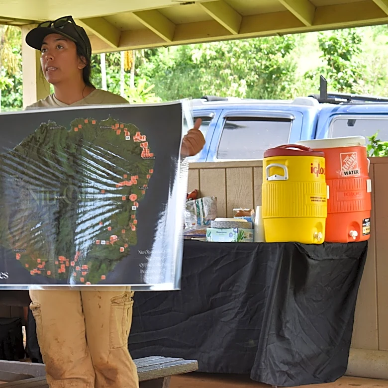Kaua‘i Community Beetle-Mapping Project May Be A Model For Hawai‘i