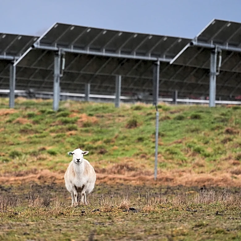 Some American farmers bet on solar. Then Trump changed the rules