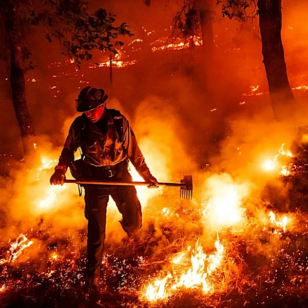 Wildfires used to 'go to sleep' at night. Climate change has them burning overtime