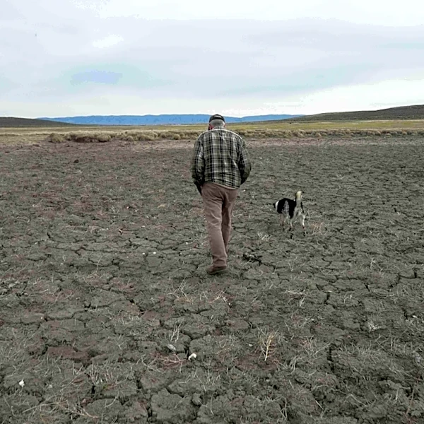 Record US drought sparks worries about fires, water supply and food prices