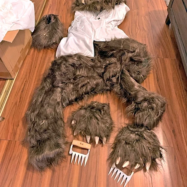 California bear-suit luxury car scam ends in insurance fraud sentences for 3