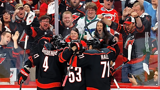 Stankoven, Hall, Andersen help Carolina Hurricanes top the Ottawa Senators 2-0 to open NHL playoffs