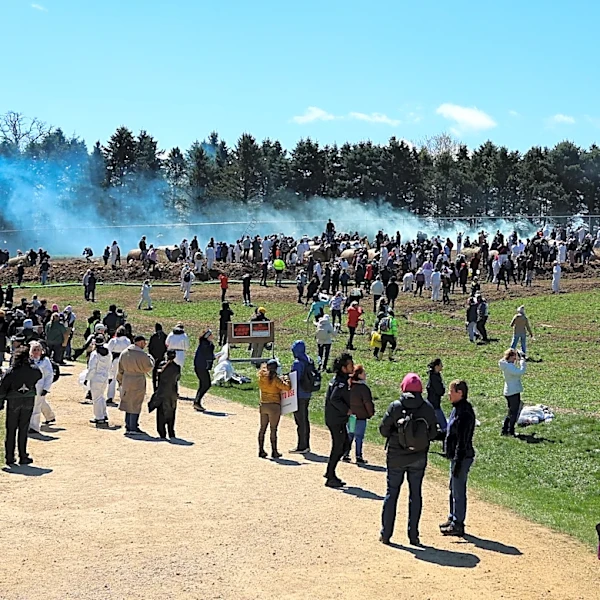 Rubber bullets, pepper spray and arrests as protesters try to storm a Wisconsin beagle lab