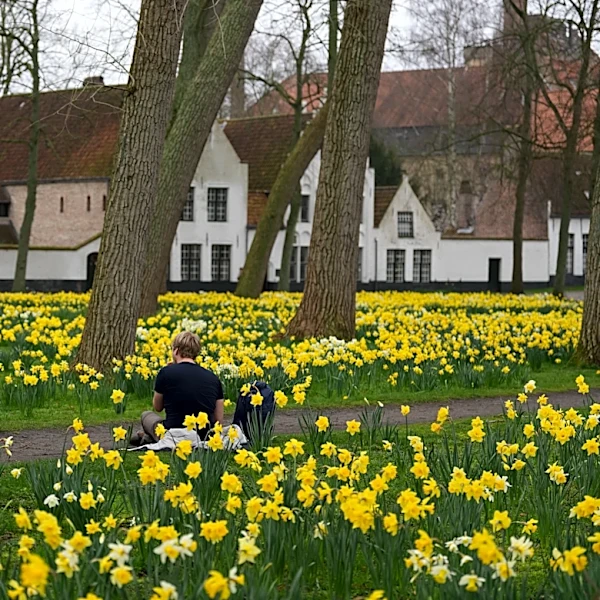 Belgium’s Beguinages: Tranquil oases in a world of noise and distraction