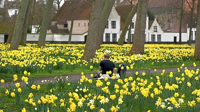 Belgium’s Beguinages: Tranquil oases in a world of noise and distraction