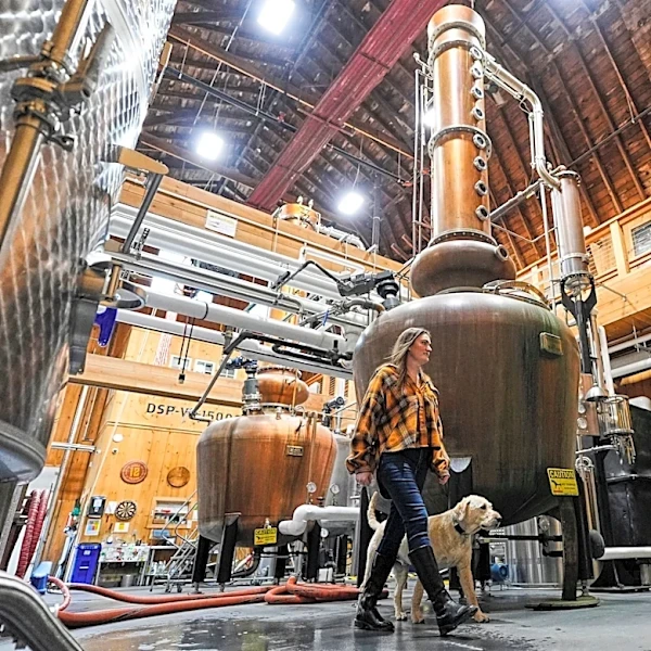 Women take the lead in whiskey as more female drinkers and distillers change the industry