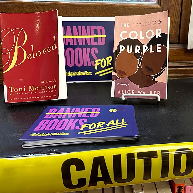 Book bans and attempted bans remain at record highs, with 'Sold' topping the list