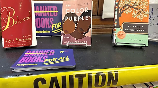 Book bans and attempted bans remain at record highs, with 'Sold' topping the list