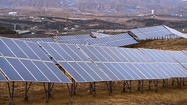 Renewable energies overtook global electricity demand last year, led by solar growth in China, India