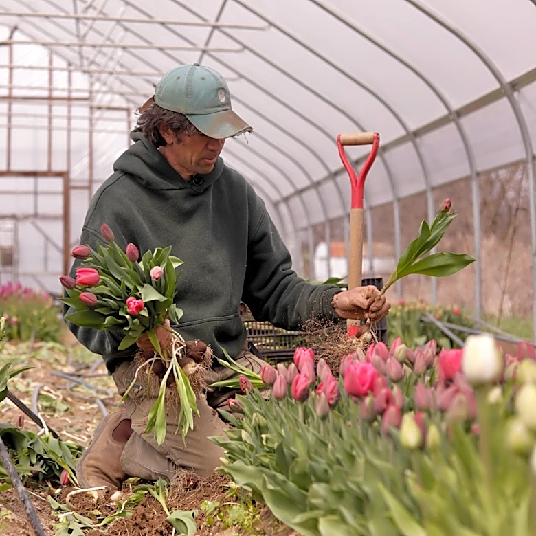 Northeast flower and fruit farmers grapple with whiplash weather