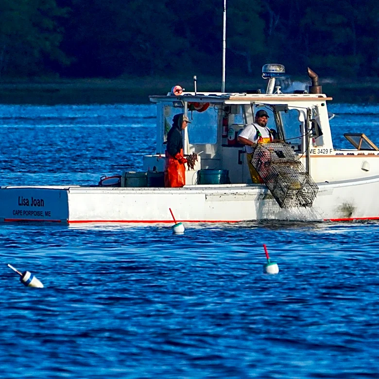 Consumers are lost at sea as seafood sustainability grows more complex