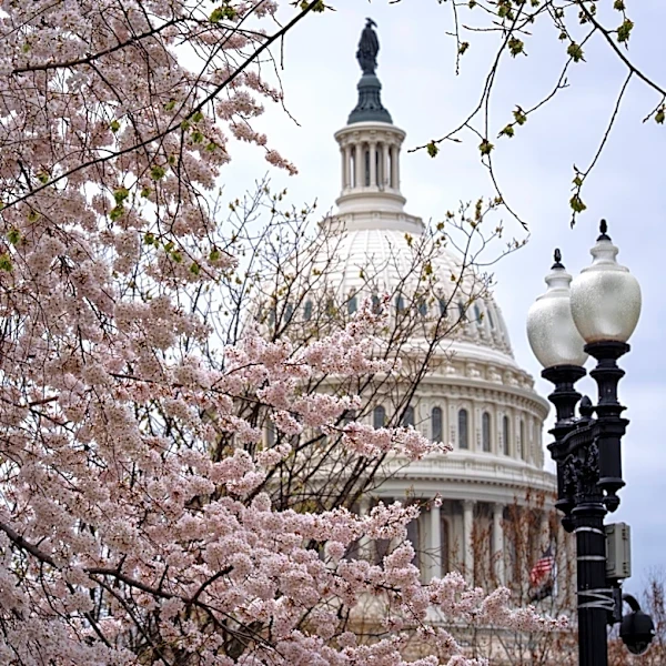 Republicans launch a new effort to fund the Department of Homeland Security