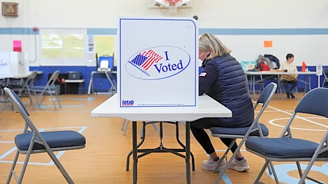Virginia voters approve redistricting plan that could boost Democrats’ seats in Congress