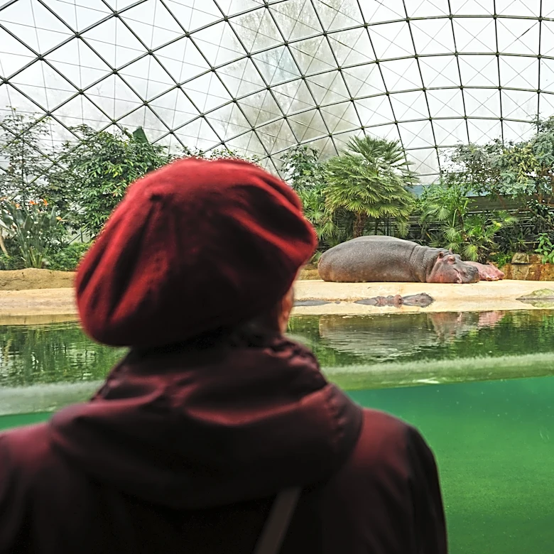People living with dementia are often overlooked. This tour at the Berlin Zoo seeks to change that