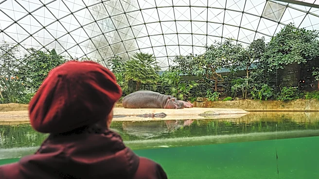 People living with dementia are often overlooked. This tour at the Berlin Zoo seeks to change that