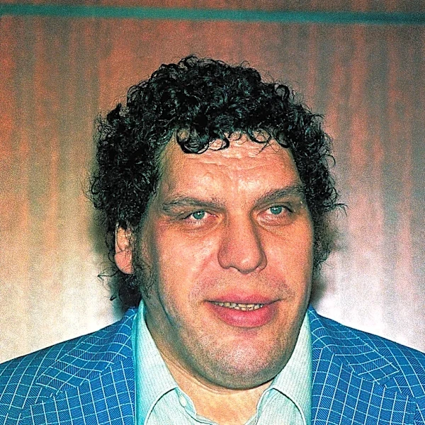Tiny town in North Carolina honors towering Andre The Giant with roadside marker