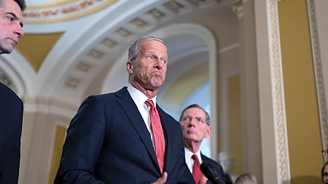 Senate passes budget plan for ICE and Border Patrol in bid to reopen Homeland Security