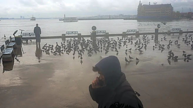 Turkish parliament passes bill to restrict social media access for under-15s