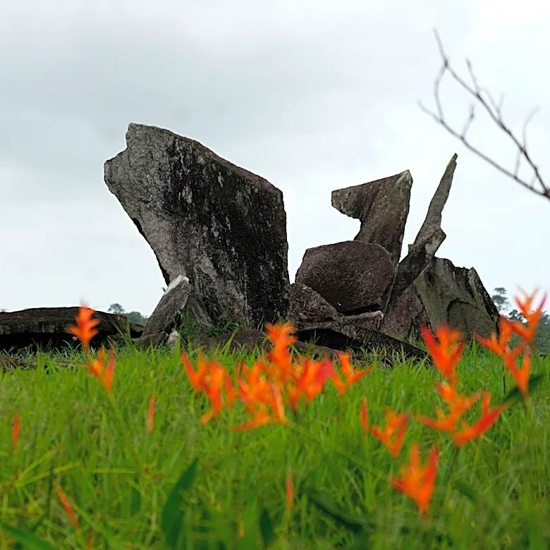 Archaeological digs in Amazon provide clues about Indigenous inhabitants before colonization