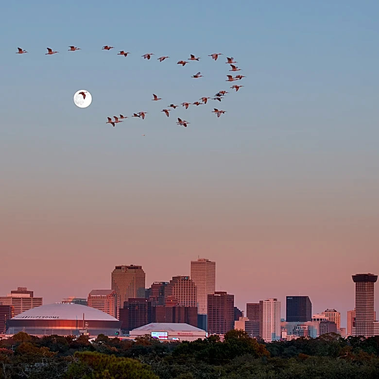 Authorities say they arrested a man planning a mass shooting at a large New Orleans festival