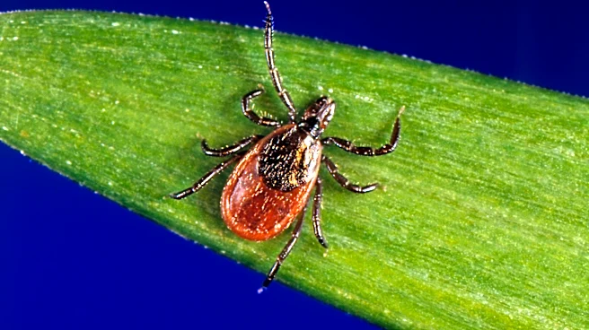 Tick season seems to be off to a fast start, and some experts worry about future illnesses