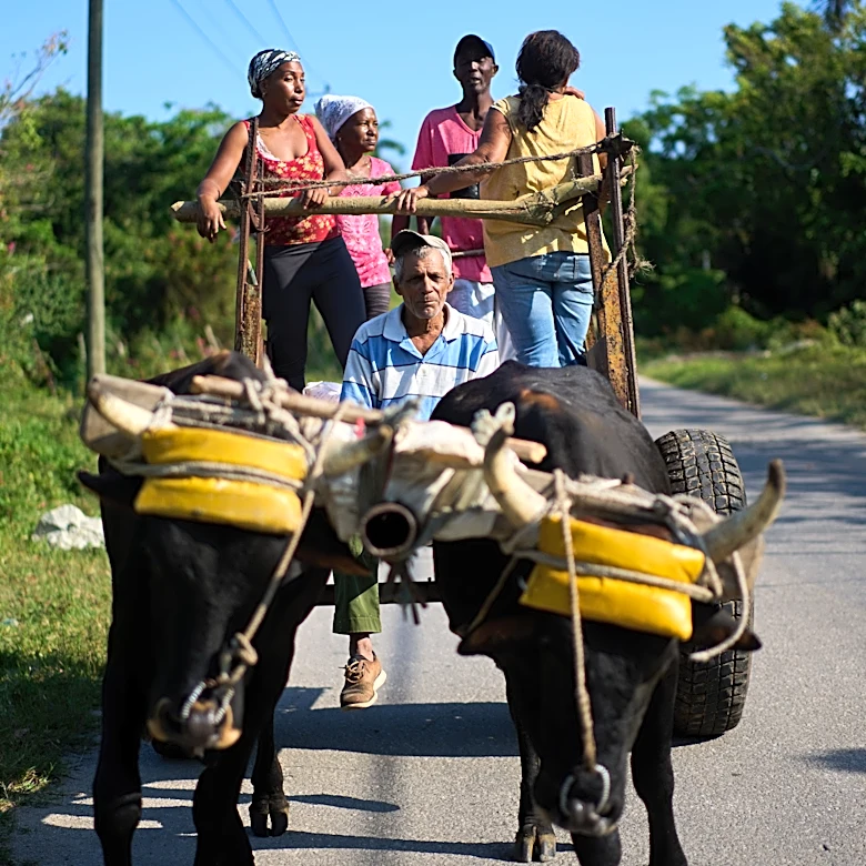 US energy blockade leaves Cuban farmers struggling to feed a nation