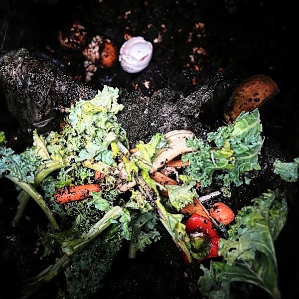 Still unsure about composting? Here's why and how to make 'black gold' for the garden