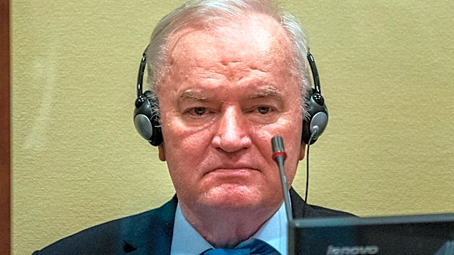 UN court orders medical evaluation for Bosnian Serb commander Ratko Mladic