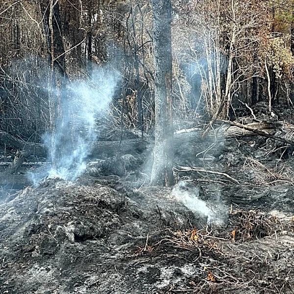 Georgia officials warn wildfires are still a threat as firefighters report progress