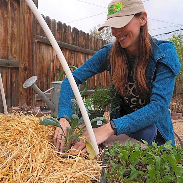 Here's how to grow your own food with less water, even in a drought