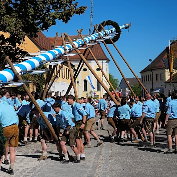 Beer, music and shouts of 'Hau-Ruck' as a Bavarian village raises its new maypole