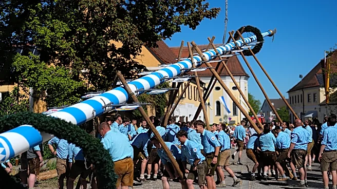 Beer, music and shouts of 'Hau-Ruck' as a Bavarian village raises its new maypole
