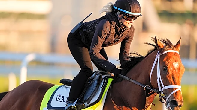 No clear favorite and plenty of contenders: The 152nd Kentucky Derby is a 20-horse puzzle