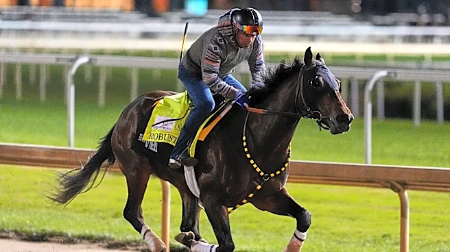Robusta is in the Kentucky Derby field with Right to Party out