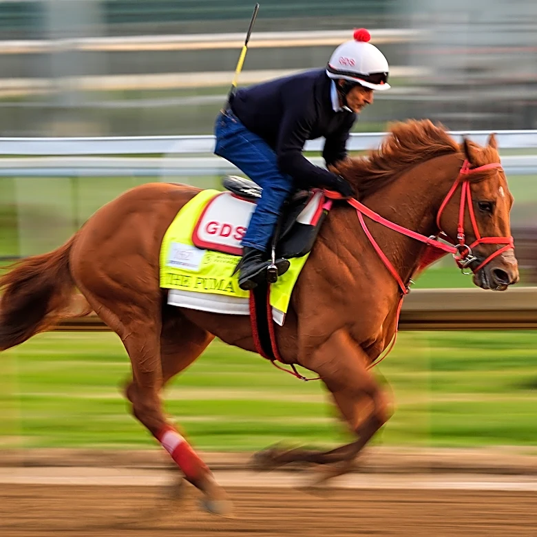 Kentucky Derby is down to 19 horses after The Puma gets scratched