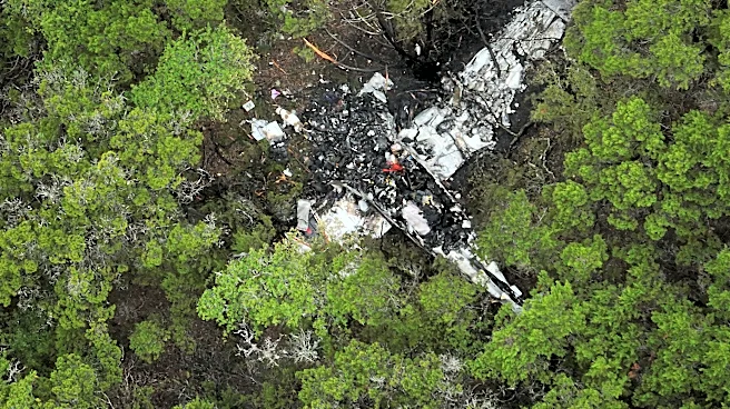 Pickleball players killed in Texas plane crash included a school tennis star, trauma counselor