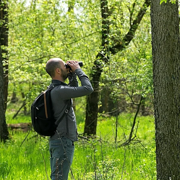 A Serbian bird-watching group uses crowdfunding to buy and preserve a woodland habitat