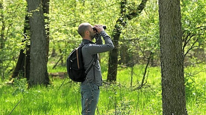 A Serbian bird-watching group uses crowdfunding to buy and preserve a woodland habitat