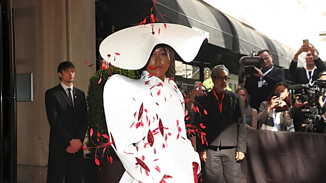 Met Gala guests arrive on carpet in dramatic works of art