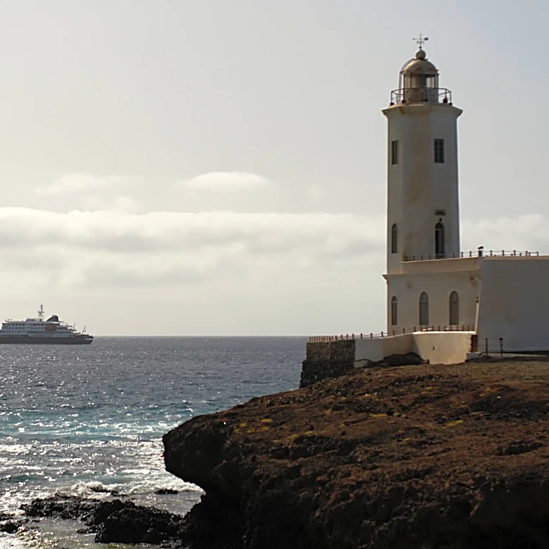 A cruise ship is waiting for help after 3 people died in a suspected hantavirus outbreak
