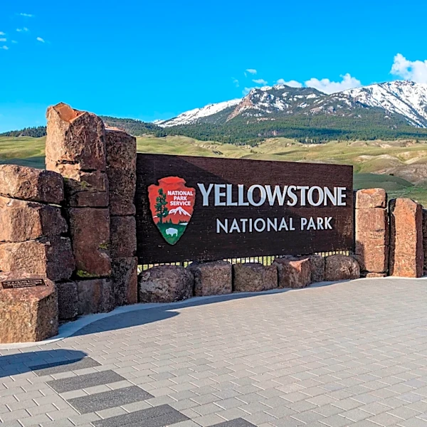 Bear attack injures two hikers in Yellowstone National Park