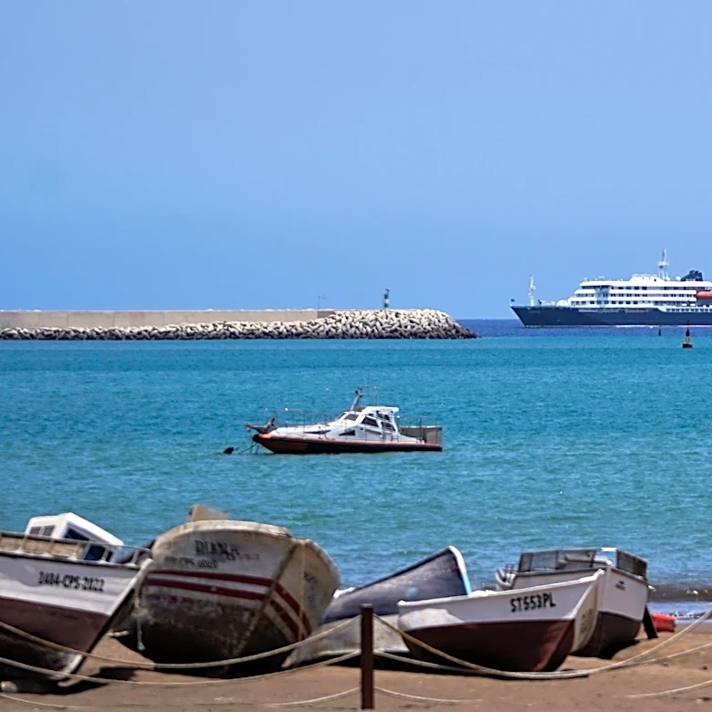 What to know about hantavirus, the illness linked to a cruise ship outbreak