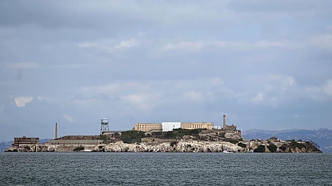 Male coyote swam 2 miles to Alcatraz Island, twice as far as biologists had expected