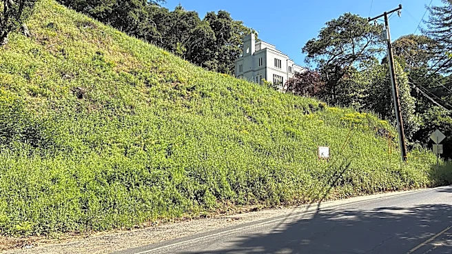 California landowners who cut 38 trees in Oakland hills hit with $915,000 fine