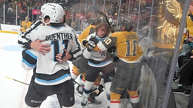 Does the NHL need more replay reviews for penalties and scrums or would they slow the game?