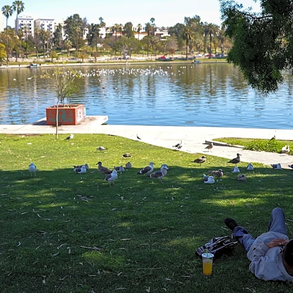 Federal authorities arrest 18 for alleged drug distribution around Los Angeles park