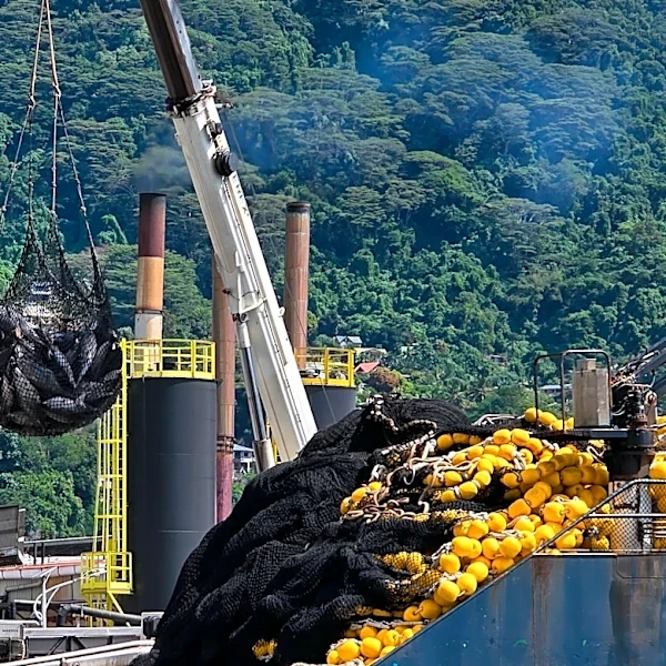 European fishing firms reflag ships to tap Indian Ocean tuna quotas, report finds