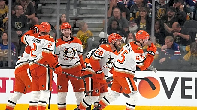 Ducks beat Golden Knights 3-1 and send series back to Anaheim at 1-1