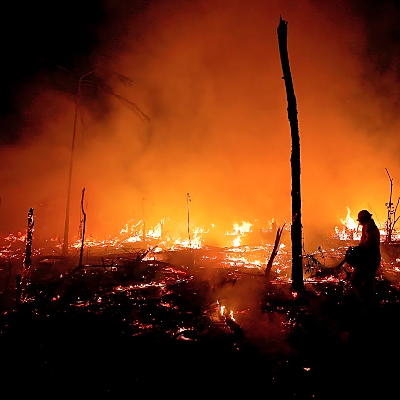 Despite gains combating deforestation in Brazil's Amazon, forest degradation is a looming threat
